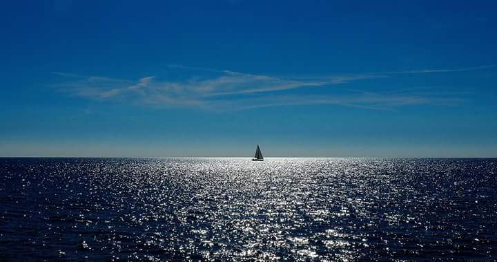 Papryka5's tweet photo. S'anche ti lascerò per breve tempo, solitudine mia, se mi trascina l'amore, tornerò, stanne pur certa; i sentimenti cedono, tu resti.
Alda https://t.co/Nj0JrMTigw