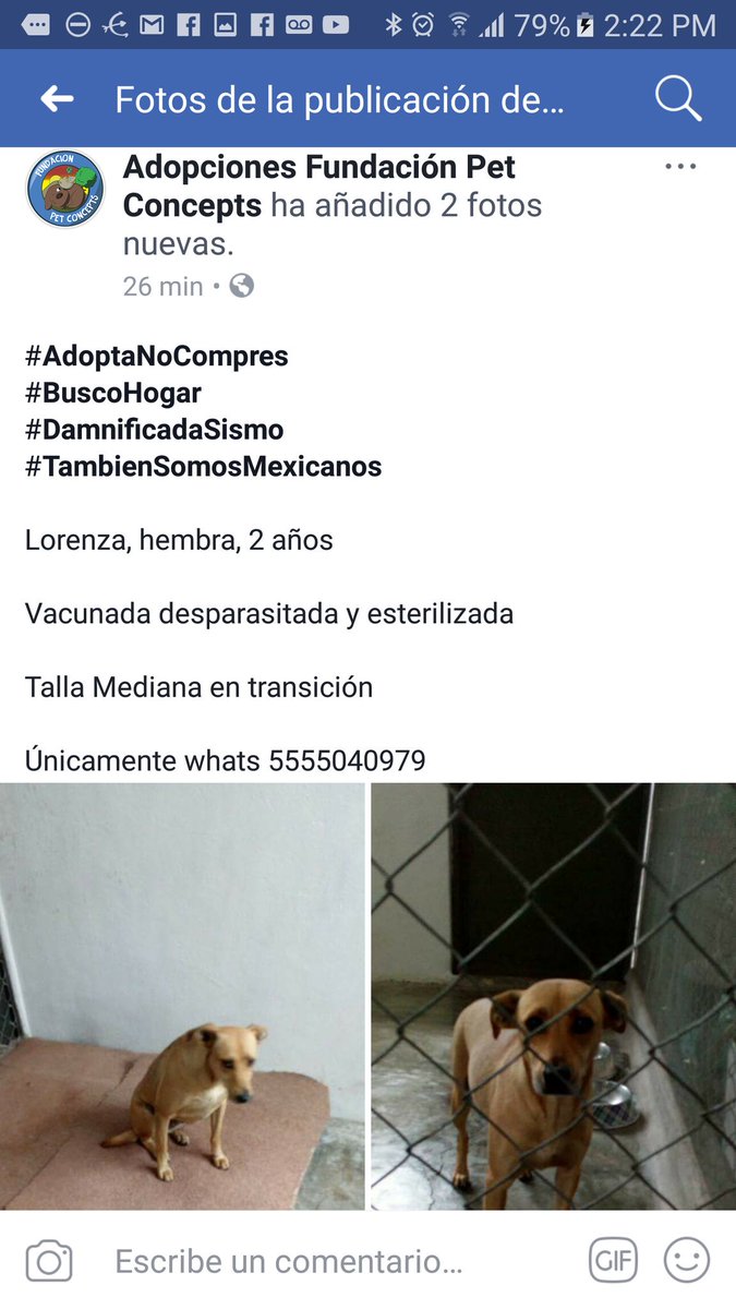 Dcyon's tweet photo. RtPlsTks @JerrxG13 @acervantes_ @RULSOTO @LeoJabbasky @UribeMerle @morenamia25 @CUBONoticiasMX @AngelDehesa @En_laDelValle @EnElPedregalMx https://t.co/iwkZsLiXB2