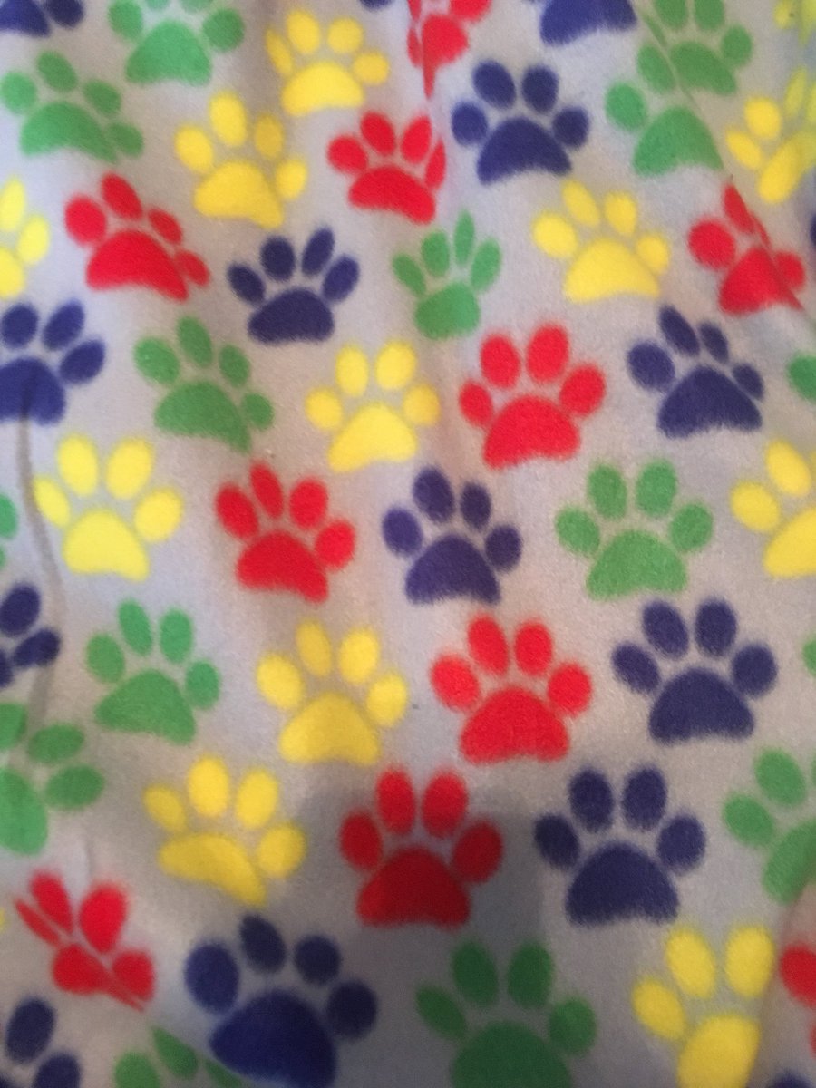 NdpGirlsBball's tweet image. The blankets NDP girls basketball made for Make It Matter were delivered to the Animal Shelter today! @NDPMA