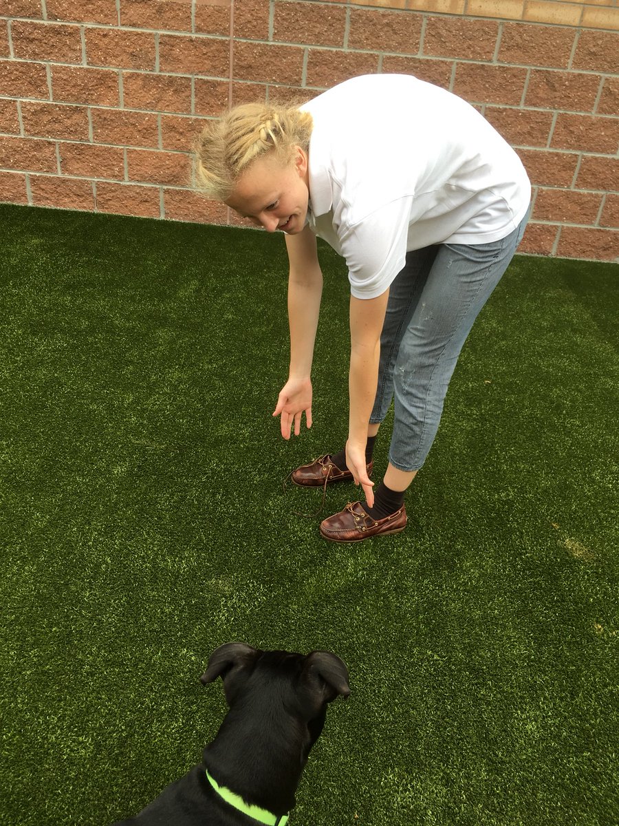 NdpGirlsBball's tweet image. The blankets NDP girls basketball made for Make It Matter were delivered to the Animal Shelter today! @NDPMA