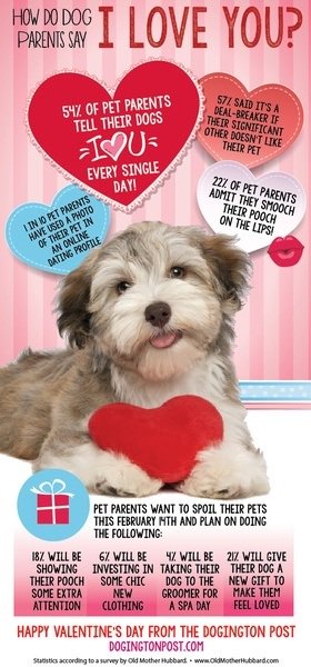 moderndoglovers's tweet photo. INFOGRAPHIC: How Do Dog Parents Say ‘I Love You’? - https://t.co/6lrGtvYWrX - #dognews https://t.co/latddV3mQt