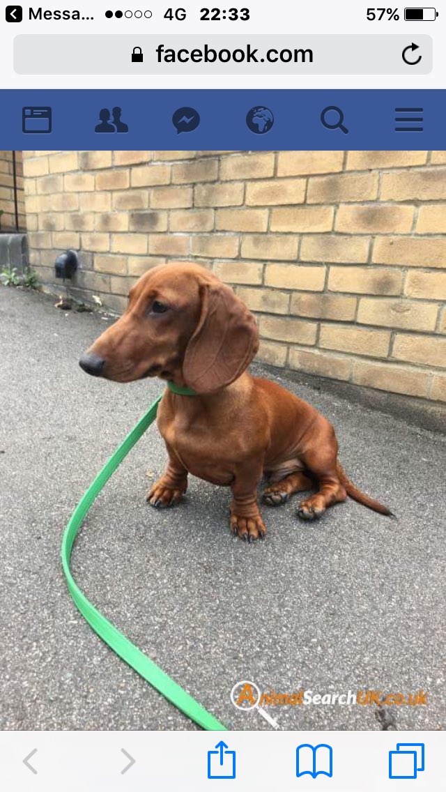 Lostbox - London tweet media