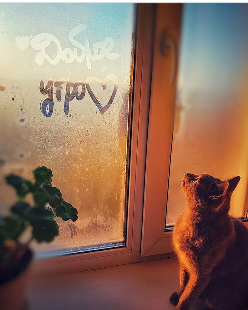 DLV5ma6VAAE3BcT.jpg:large