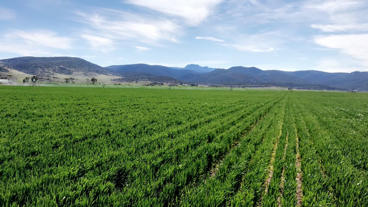 Matthew Kenny tweet media