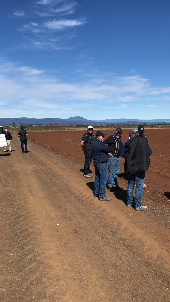 Matthew Kenny tweet media