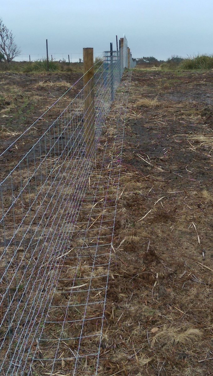 ramsaybaa's tweet photo. Apparently a Wallaby/wildlife proof fence. The have found a path under the gate. #Tasmania #Umtali. @johnramsay43 https://t.co/R12v3117Ki