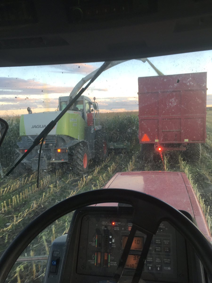 milot_noah's tweet photo. Corn is coming off good https://t.co/r3ZZcLR81b