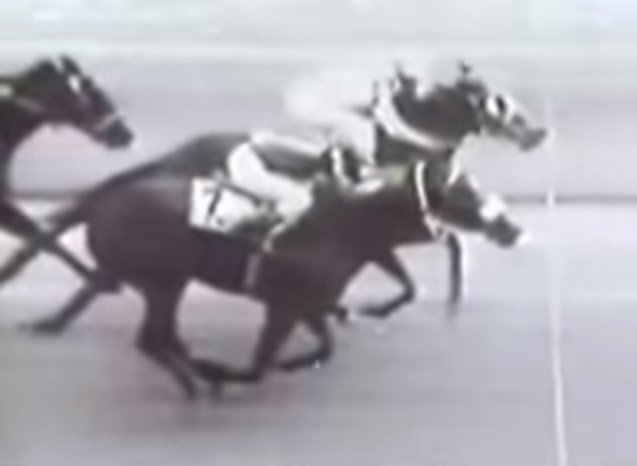 VENEZHIPICA's tweet photo. #SB1985 FINAL FOTOGRÁFICO: La yegua PRINCESS RUN por dentro derrota a CANDY MAN. El amigo @Sportracks calcula su dividendo en 40-1. https://t.co/inpo7SCS41