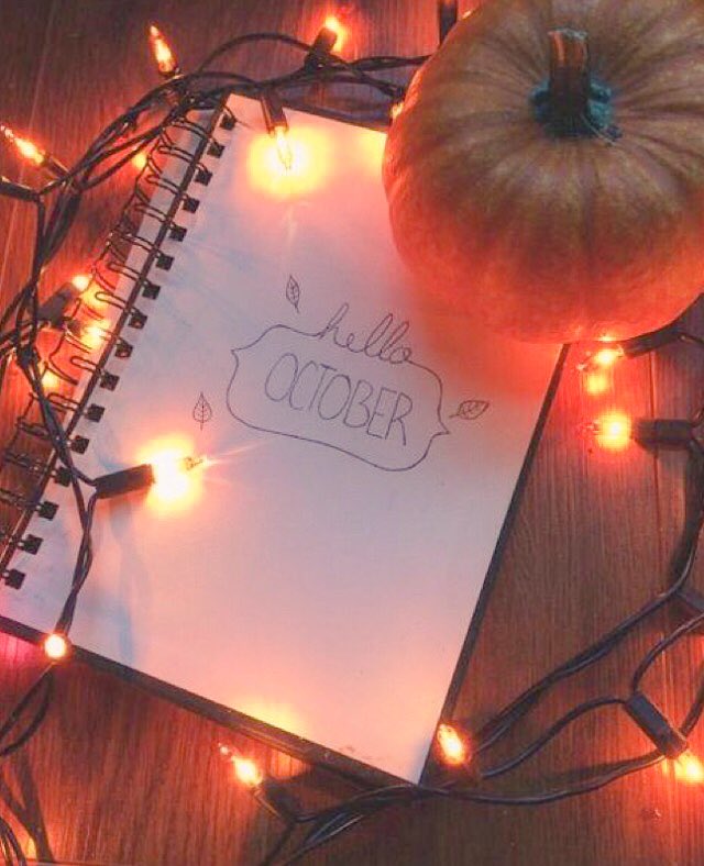 kendal_drye's tweet photo. I've been getting super in spirit all day 🍂🎃 https://t.co/pVQGbQRiUG