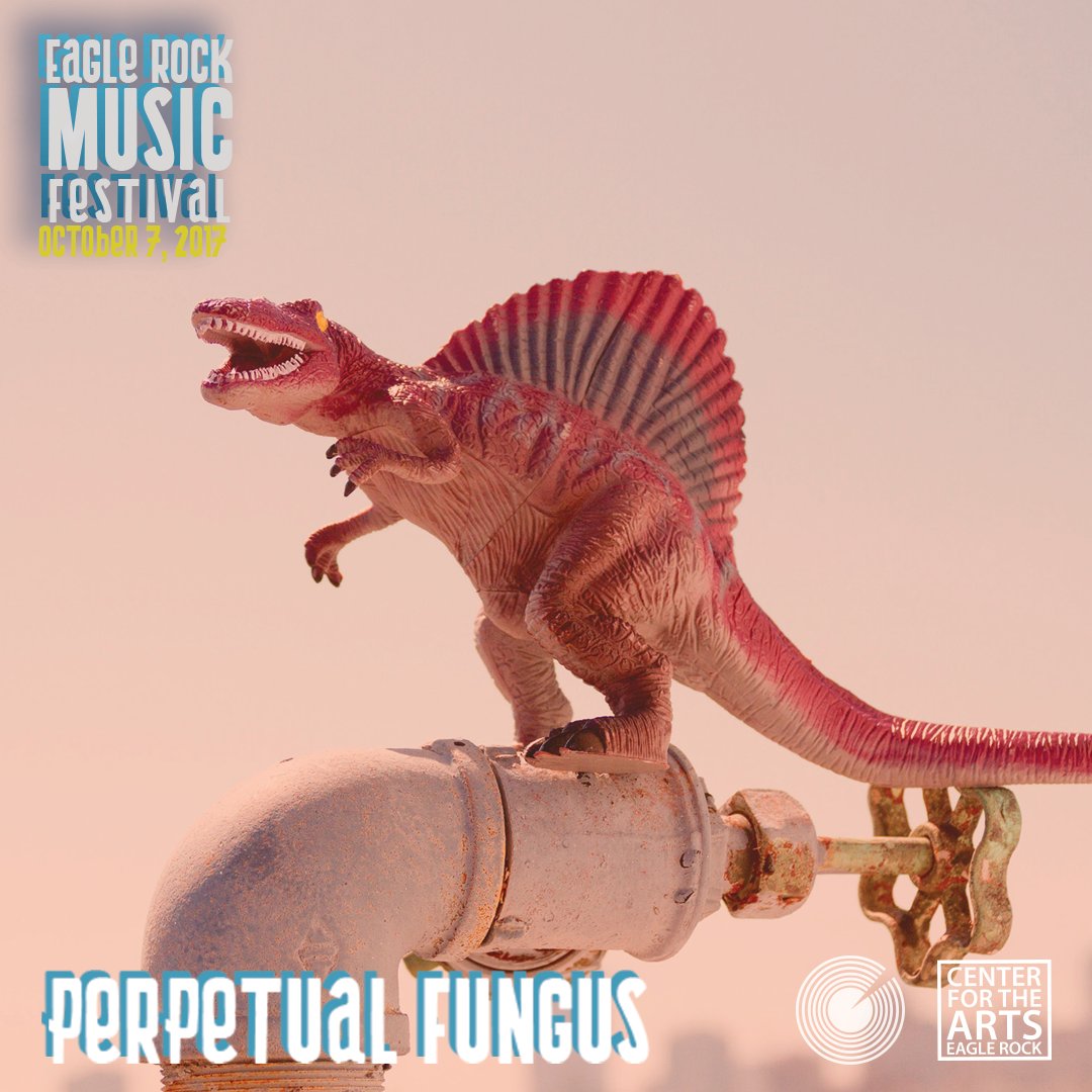 Check out Perpetual Fungus at perpetualfungus.com! Will be at 2017 ERMF!