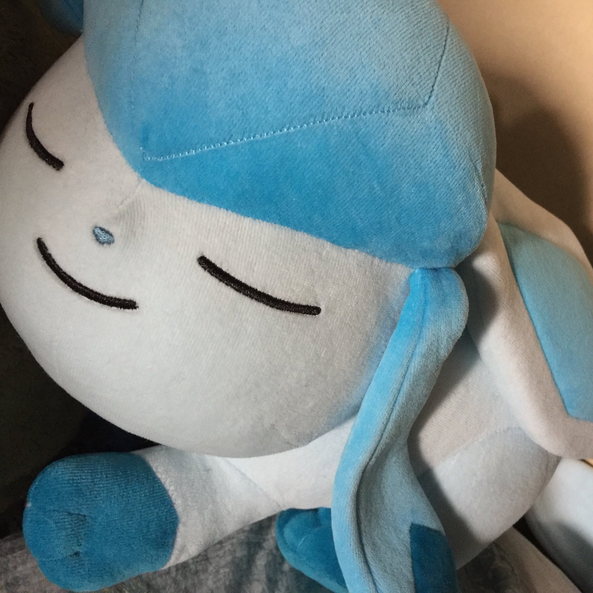 すやすやグレイシア Twitter Search Twitter