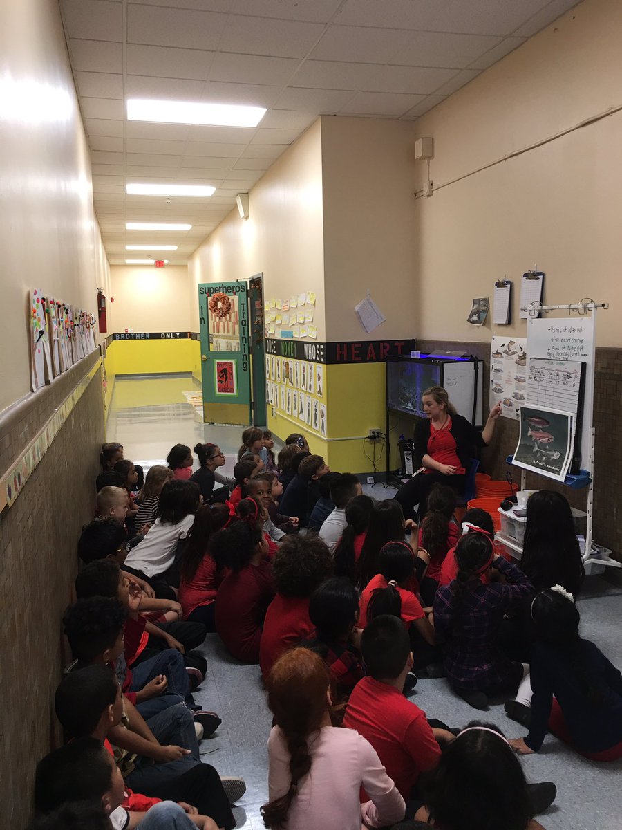 MsWillertondws's tweet photo. Thank you Ms. Kolano for teaching us all about the trout eggs! @MsKolanoDWS https://t.co/sDhcwMruk1