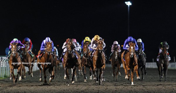 Steven_Cargill's tweet photo. Debut; @AlShaqabRacing gelding KASSAR (gold cap) wins 8f 2yo novice race @kemptonparkrace tonight for @DarleyStallions Exceed And Excel https://t.co/GkoqP1efDm