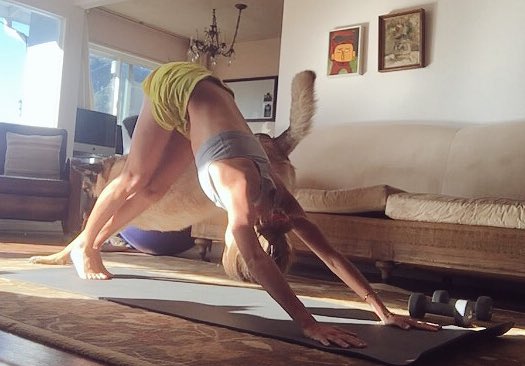 katesoutrunning's tweet photo. Downward dog together 🐶🕉 https://t.co/1IjiRN1KxF