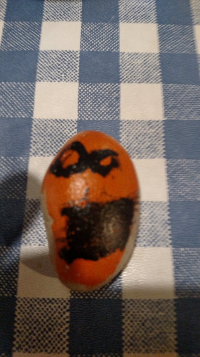 TomPosz's tweet photo. #soinrocks @MarksFeedStore the boy can't decide whether to keep or rehide https://t.co/fAwP2OStUT