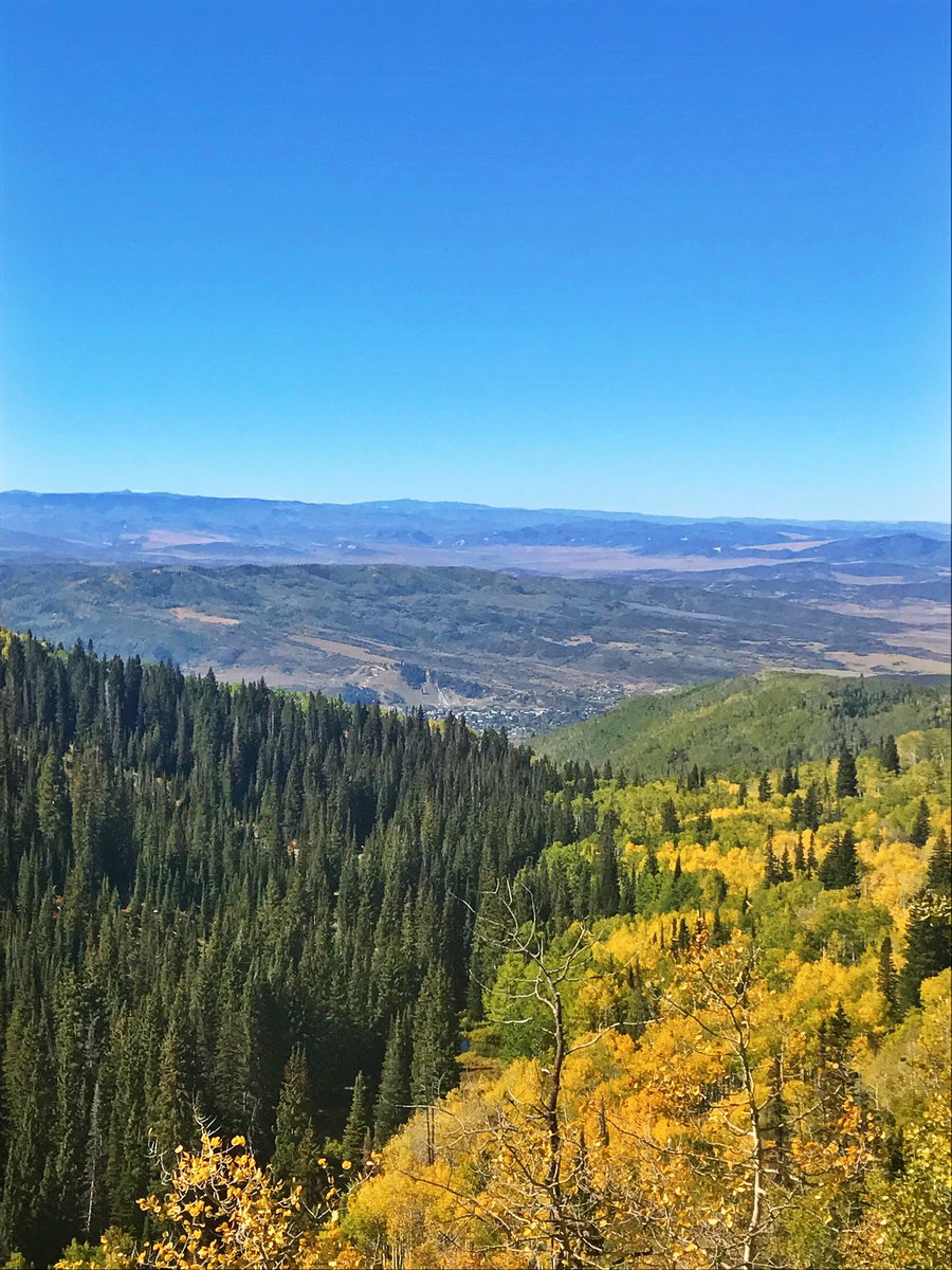 SteamboatCO's tweet photo. Clash of the colors. 🌲🍂
#steamboatsprings #fallcolors #buffpass https://t.co/TaY6brsk8l