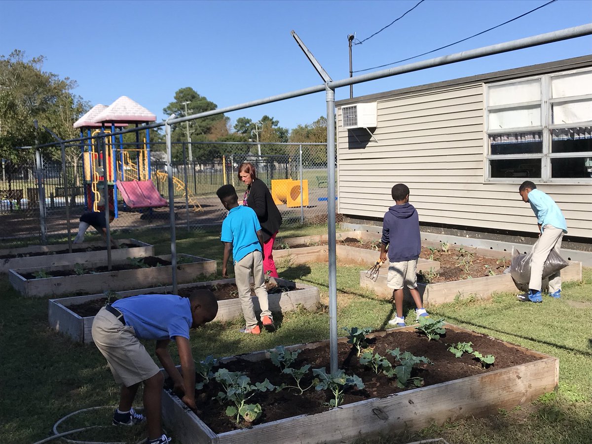 thomask_24's tweet photo. 5th grade scholars helping Mrs. Caple with our new and improved garden! Excited to see what's in store 😁 @katcaple https://t.co/AHavb6UkAN