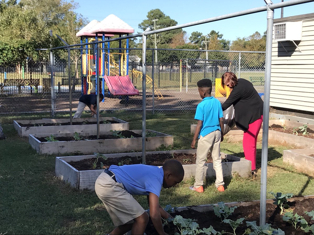 thomask_24's tweet photo. 5th grade scholars helping Mrs. Caple with our new and improved garden! Excited to see what's in store 😁 @katcaple https://t.co/AHavb6UkAN