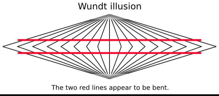 vilhelm_vundt's tweet photo. I even had my own optical illusion https://t.co/xPO8qaJLVA