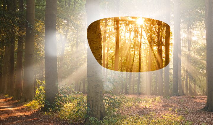 As the sun sets earlier get fimilar with the <a href="/Julbo_USA/">Julbo_USA</a> Zebra lens. Go from light to dark with ultimate visibility and protection.