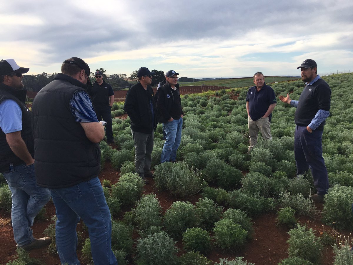 Sam Holmes tweet media