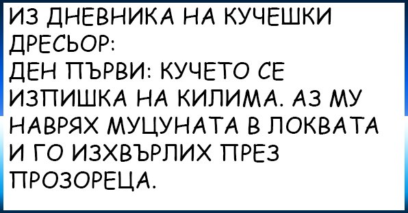 Скачать шаблон дневника трейдера бинарных опционов: вязание свитера ажурного женского спицами схемы Скачать шаблон дневника трейдера бинарных опционов: вязание свитера ажурного женского спицами схемы