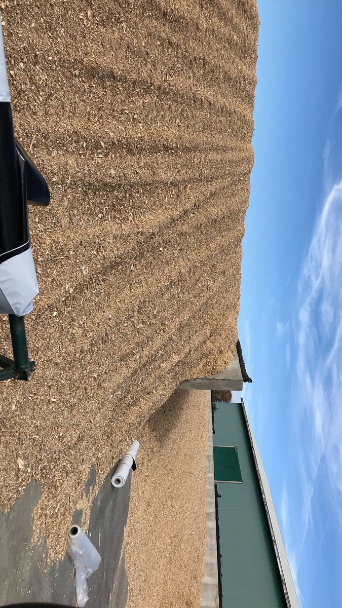 RoyBiggins15's tweet photo. Corn silage wrapped up for another year in the new bunkers with the help of super packer @Royridgefarm https://t.co/Bci8i9lDpX