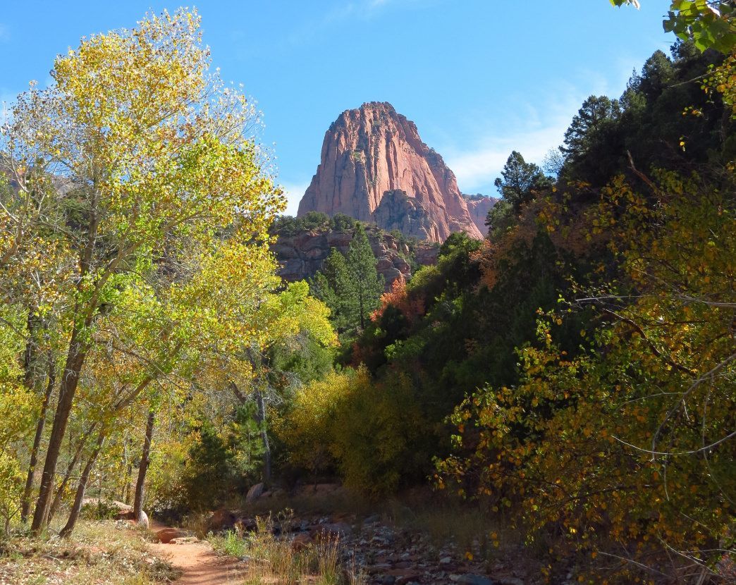 VisitCedarCity's tweet photo. It requires some extra effort to explore #KolobCanyons, the lesser-known side of @ZionNPS, but its well worth it. https://t.co/KGtyq9XkUS https://t.co/u2cmTBsFiF