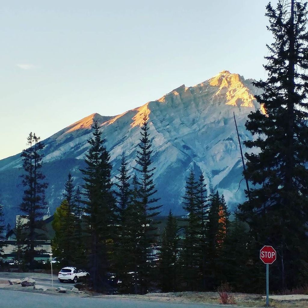 jasonrobertfox's tweet photo. Everything smells of pine. #pine #soaktime https://t.co/NE7jkUok9z