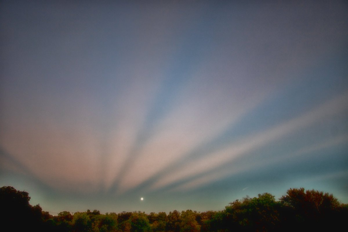 Ronnie Prcin tweet media