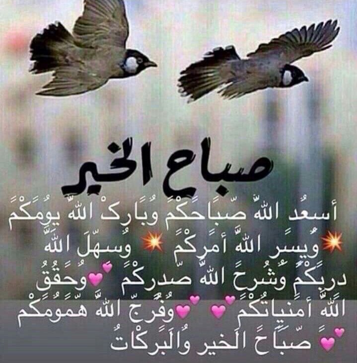 Asouti999's tweet photo. #قروب_سما_عمان
#قروب_المغرد_العماني
#قروب_عُمان_للدعم
#قروب_عيال_قابوس 
أصبحنا على فطرة الإسلام وكلمة الإخلاص وعلى دين نبينا محمد. https://t.co/ssfEkLKDOg