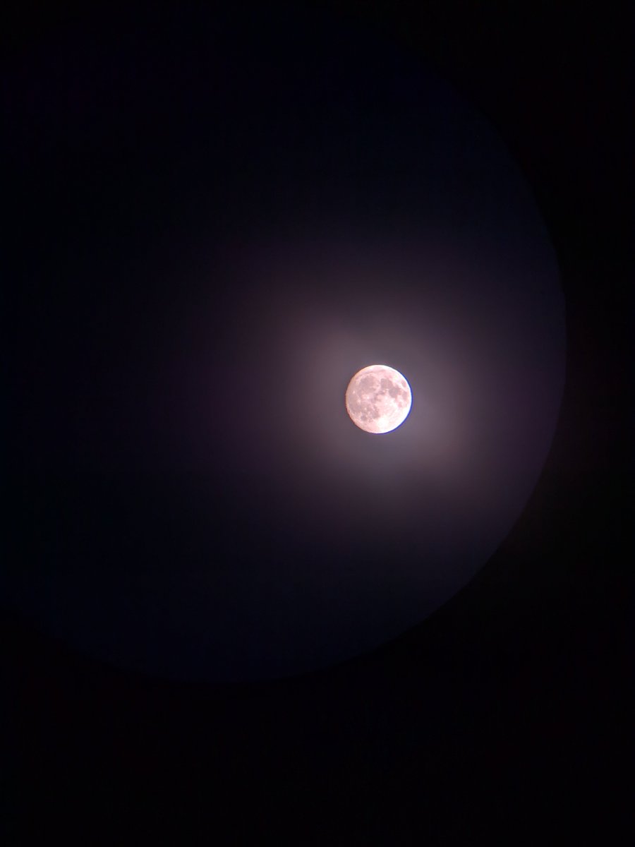 ellieterrybooks's tweet photo. "...the moon is not made up of cheese.
It's made up of different igneous rocks.
And hope
and light
and wonder."
--Calli #forgetmenotbook https://t.co/KQN7xjJlB8