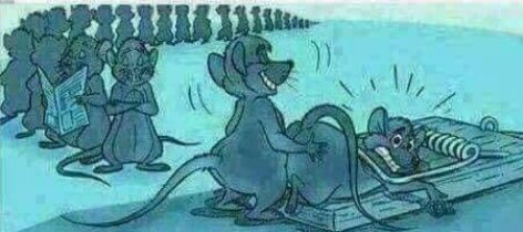 HEdmound's tweet image. 