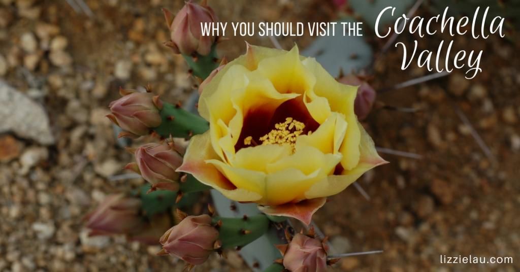 hubchair's tweet photo. Why you should visit the Coachella Valley in winter &amp; spring. https://t.co/EkoGULDOXK via @actionevans #travel #familytravel @LaQuintaResort https://t.co/ZRp5vGdgO8