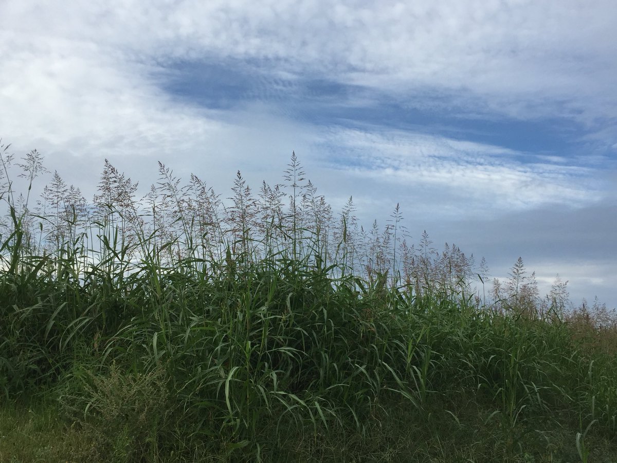 割と好きなアングル