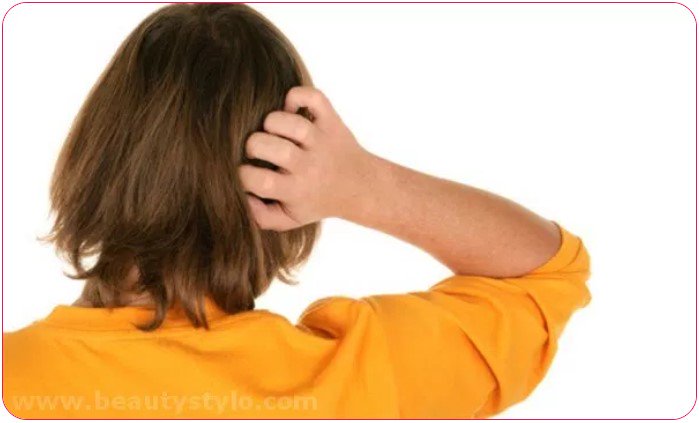 BeautyStylo's tweet photo. Scalp Eczema: Symptoms, Causes &amp; Treatments

More: https://t.co/1M21Ni84wu

#Scalp #Fashion #Beauty #HealthyHair #HairProblems #HairCare https://t.co/MmCivM0pH3