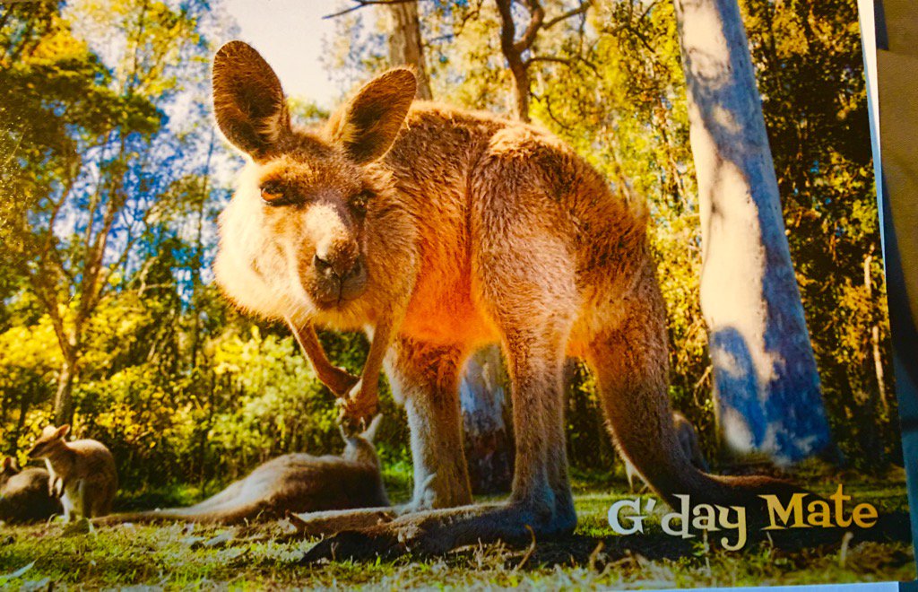 Heather L Bonney (@skibonneyspark) on Twitter photo 