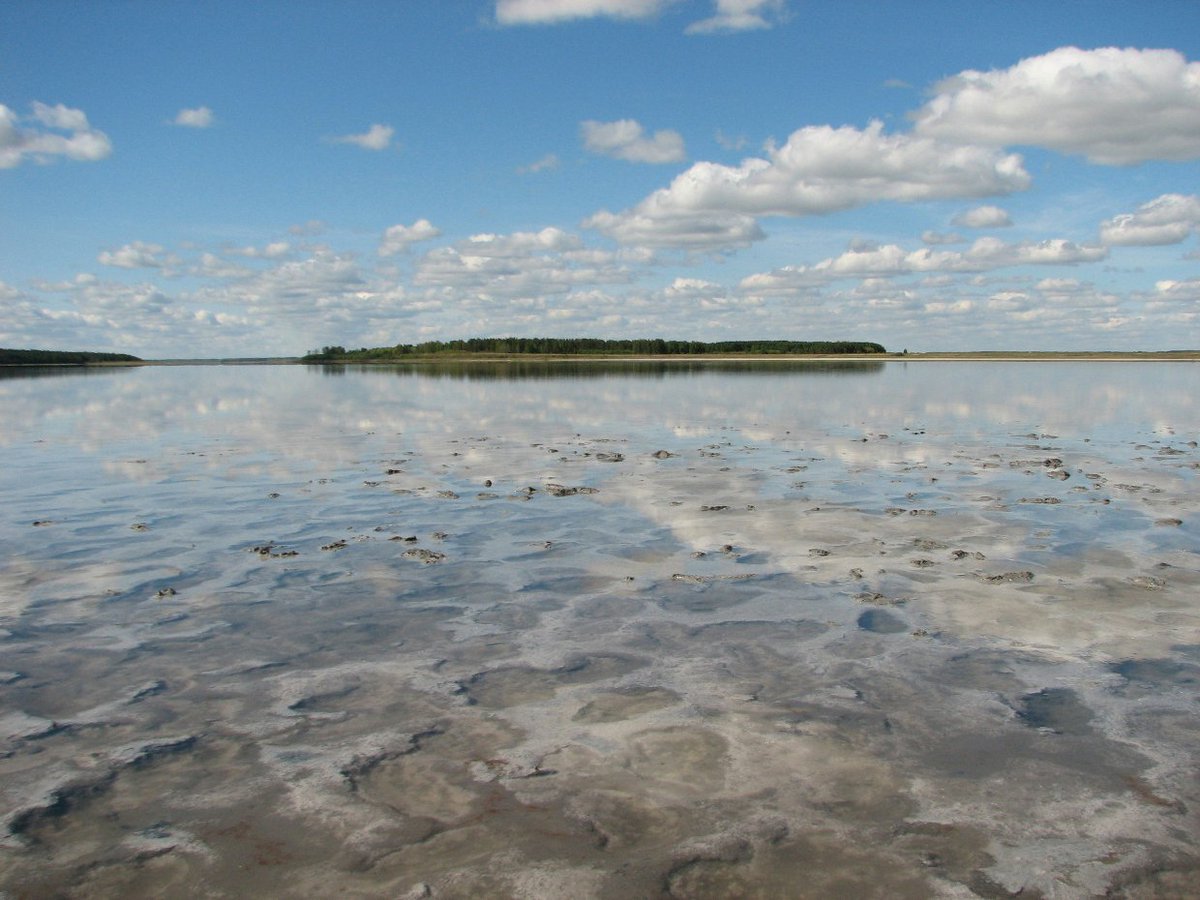 Погода в м озерах. Озеро Медвежье Курганская. Курганская обл Медвежье озеро. Курганские соленые озера. Солёное озеро в Курганской области.