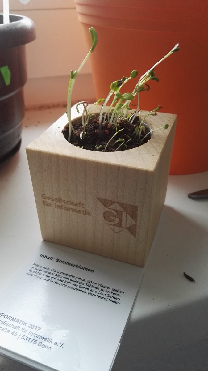 AndreK81's tweet photo. @informatikradar @informatik2017 Die Mischung Sommerblumen geht ja richtig ab. 😍 #informatik2017 https://t.co/hsYNB4uroN