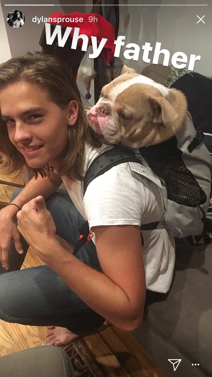 orr1996's tweet photo. Why aren’t there more Guys like Dylan sprouse in the world (and his bulldog) 🖤🖤🖤 https://t.co/rB0xx0O8yM