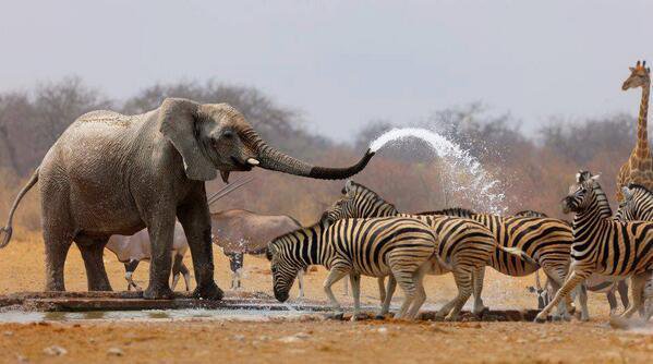 apicsvideos's tweet photo. Wonderful!!!! https://t.co/pEjITUFm93