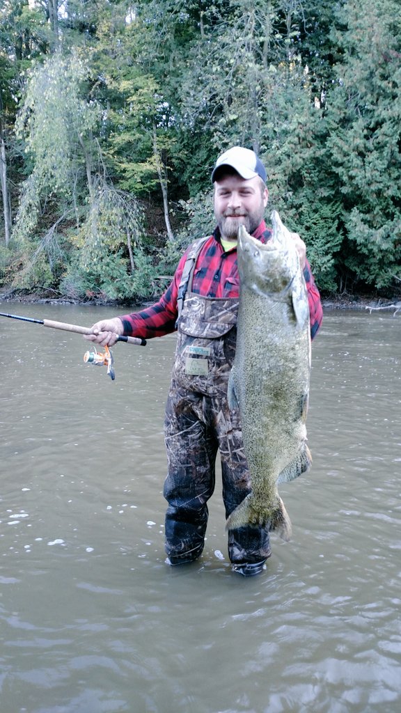 Ryanb0ll's tweet photo. Another solid night on the river #salmon #fishdifferent #Wisconsin https://t.co/98r0X5MNMe