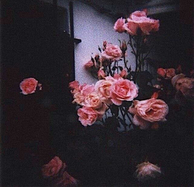 FamousYesterday's tweet image. 