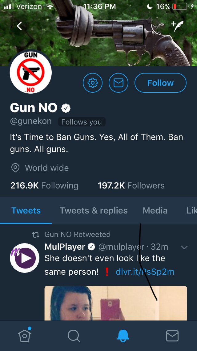 || I’m not a supporter of guns or anything they do, but the fact that this account followed a Jason Todd just kinda made me giggle.
