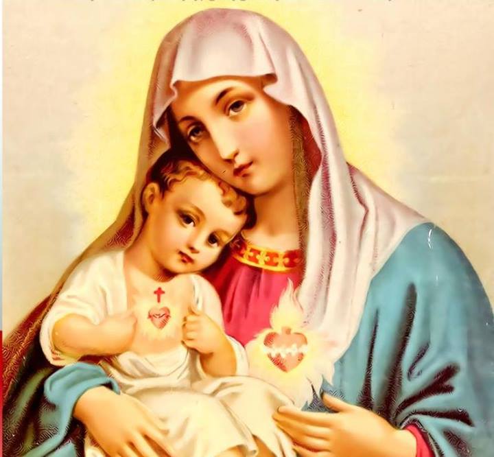Blessed Virgin Mary (@Our_Mother_Mary) / Posts / X