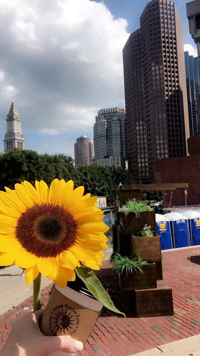 thekatestewart's tweet photo. IN 24 HOURS I WILL BE IN BOSTON FOR #PRSSANC 😍😍 #favoritecity #favoriteconference https://t.co/eWPpULNfjl