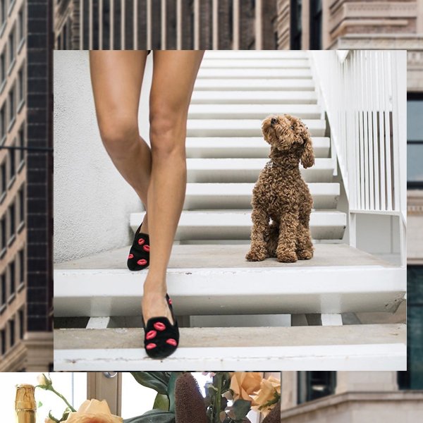 Desenleriyle bizi cezbeden <a href="/Stubbs_Wootton/">Stubbs & Wootton</a> ayakkabıların şıklığıyla bir adım
öndesiniz! ow.ly/t8Ed30fzMH0