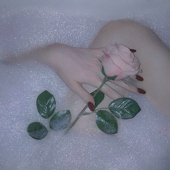 xWetFantasy's tweet photo. https://t.co/NLqhnLtovQ