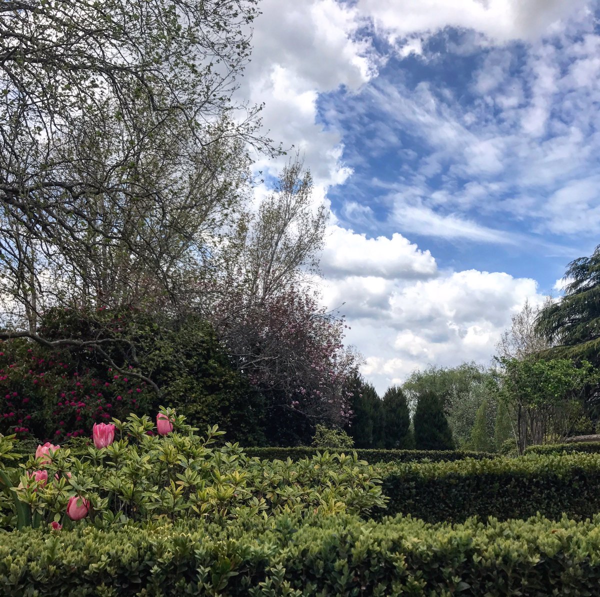 DrEmmaLJohnston's tweet photo. @FDochertyUNSW Quite! #suttonforest #southernhighlands https://t.co/tCzNqVyDLj