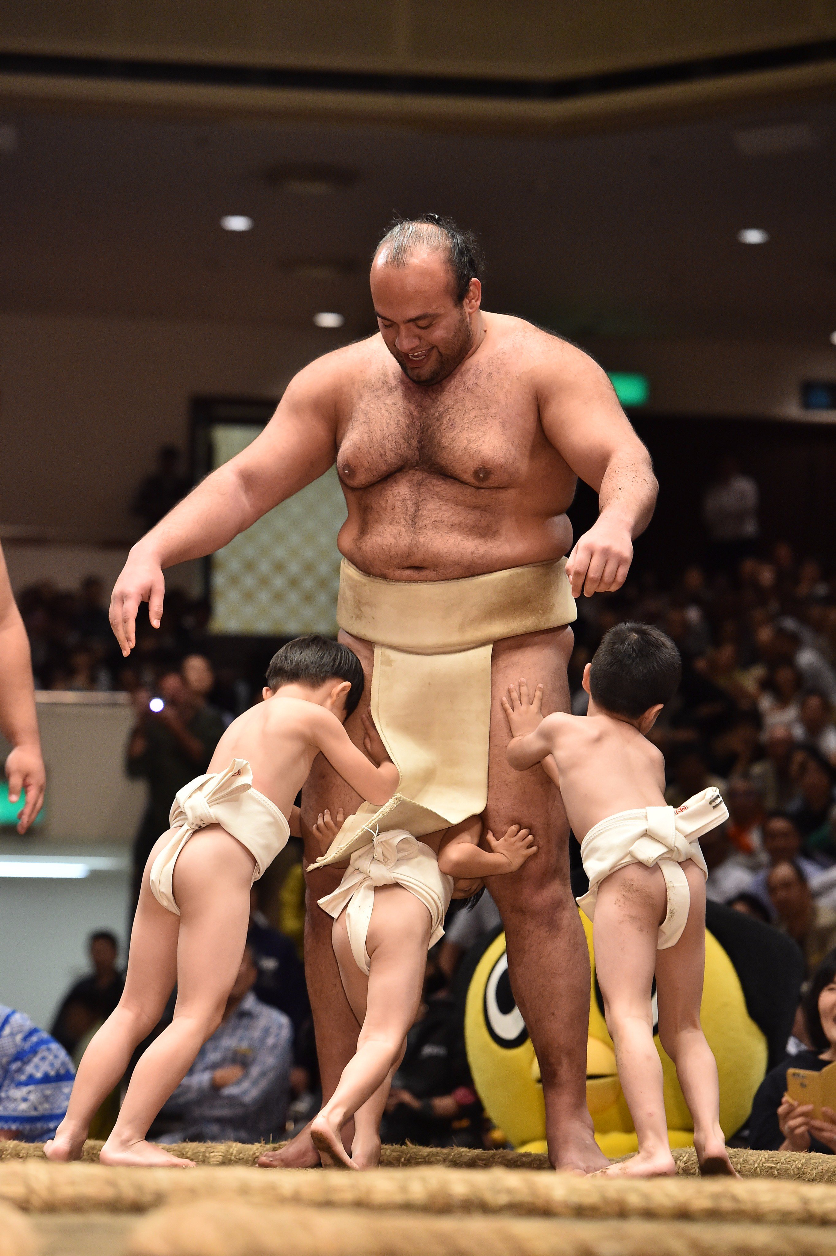 相撲☆まわし☆約6m☆中学生用☆日本相撲協会寄贈 目新し